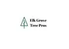 Elk Grove Tree Pros