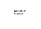 flower delivery Yarraville - Blossoms of Wyndham