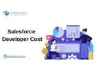 What Factors Decide the Real Cost of a Salesforce Developer?