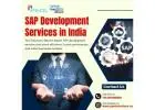 SAP Development Services in India | SAP Services in India