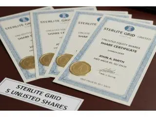 Is Sterlite Grid 5 a Good Unlisted Investment? Share Price & Risks