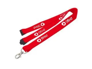 Organize Large Venues with Promotional Lanyards in Bulk from China