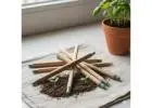 Seed Pens & Plantable Pencils – Sustainable Eco-Friendly Stationery