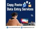 Best Copy Paste Data Entry Services in India