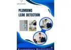 Professional Plumbing Leak Detection Services Near You