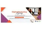 Trusted SEO Agency India for Long-Term Business Growth