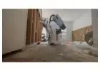 Mold Remediation Charleston SC
