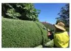 Get Reliable Garden Maintenance in Bowral from Semms Property Services