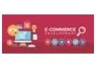 Ecommerce Development Services in Faridabad