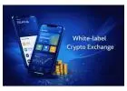 White Label Crypto Exchange