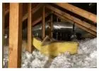 Attic Debris Removal & Deep Cleaning Services By Johnson's Insulation