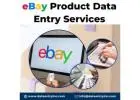 Best eBay Product Data Entry Services in India
