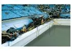 Affordable and Professional Gutter Services Available in Denver