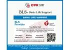 Healthcare BLS CPR Certification – Online Learning with Quick Skills Check