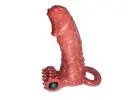 Order Best Sex Toys in  Al Zubarah | qatarpleasure.com