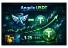 Trade Angelx USDT Instantly — Fast & Secure Exchange