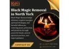 Trusted Black Magic Removal in North York by Psychic Ravi