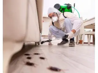 Strata Pest Control Central Coast