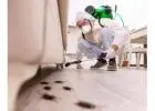 Strata Pest Control Central Coast