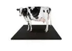 Buy Online Cow Mats at the Best Price | Gravolite