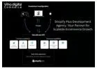 Shopify Plus Development Agency: Your Partner for Scalable Ecommerce Growth
