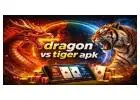 Dragon vs Tiger APK – Play & Win Real Money Instantly on Sportsx9!