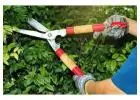 Professional Gardening Services in Pune | Lawn & Landscape Experts