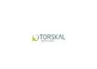 What Are Green Nanoparticles, and How Does Torskal Develop Them?