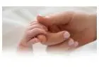 Best IVF Centre in Chennai for Fertility Success | Arcivf.com