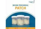 Bovine Pericardial Patch