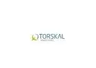 What Is Dynamic Light Scattering Particle Size Analysis at Torskal?