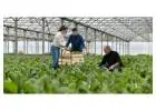Inventory Management System for Commercial Plant Growers, Greenhouses & Nursery