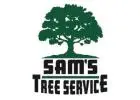 Emergency Tree Removal Sonoma County Ca