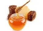 Forest Honey Suppliers in Rajasthan