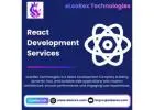 Best React Development Company | eLeoRex Technologies