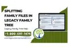 Splitting Family Files in Legacy Using Split Screen View