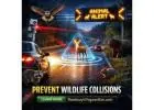 The Roadway Lifeguardian: Revolutionizing Wildlife Crash Prevention Innovation
