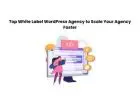 Top White Label WordPress Agency to Scale Your Agency Faster