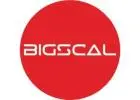 Bigscal The Ultimate Software Development Company