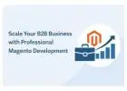 Scale Your B2B Business with Professional Magento Development
