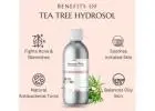 Tea Tree Hydrosol for Cosmetic & Beauty Products | Raasa Oils