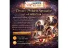 Divorce Problem Specialist Astrologer in California | Psychic Healer in California