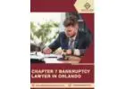 Chapter 7 Bankruptcy Lawyer in