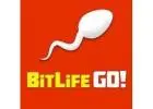Bitlife Game