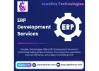 Best ERP Development Services | eLeoRex Technologies