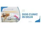 Dog Clinic In Delhi  | CGS Hospital