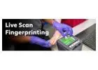 Livescan Fingerprinting Cost