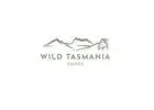 Best Tours from Hobart Tasmania to Explore the Wild