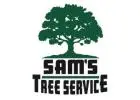 Tree Removal Santa Rosa