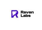 Microsoft CRM Software - Raven Labs